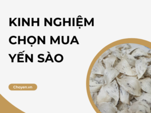 Chọn mua yến sào