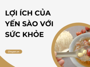 Công dụng của yến sào với sức khỏe